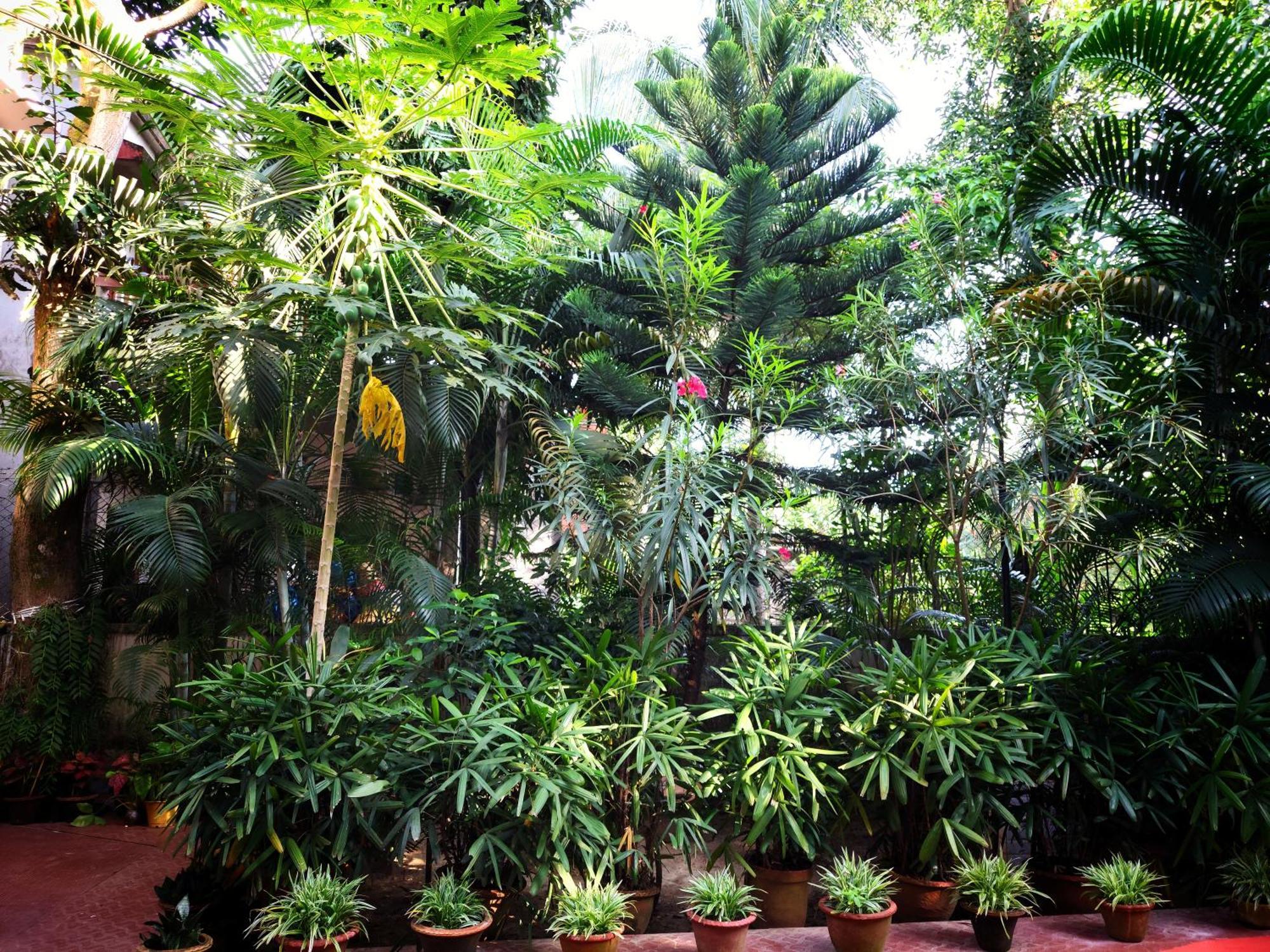 Chaiti Eco Homestay- Santiniketan بولبور المظهر الخارجي الصورة