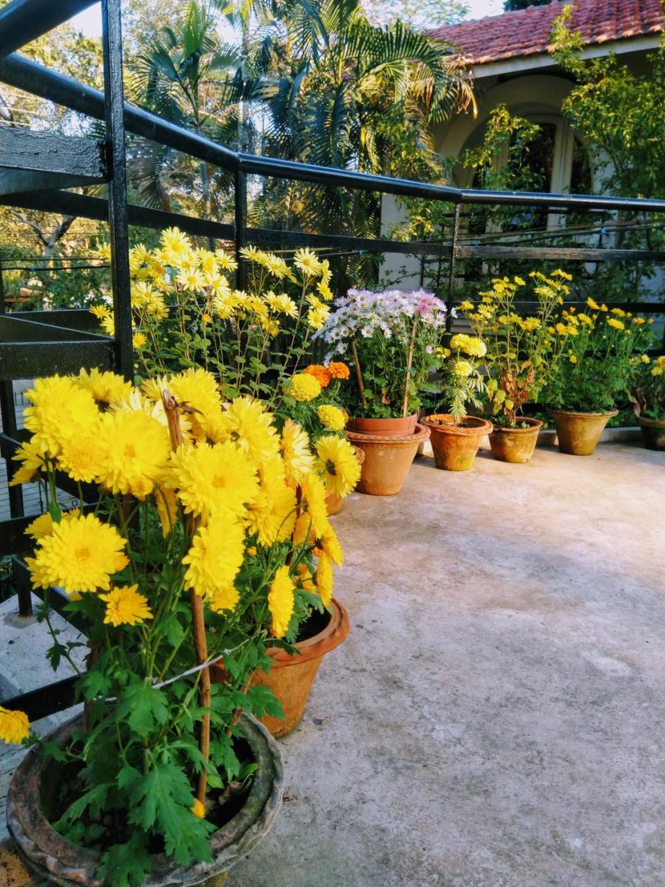 Chaiti Eco Homestay- Santiniketan بولبور المظهر الخارجي الصورة
