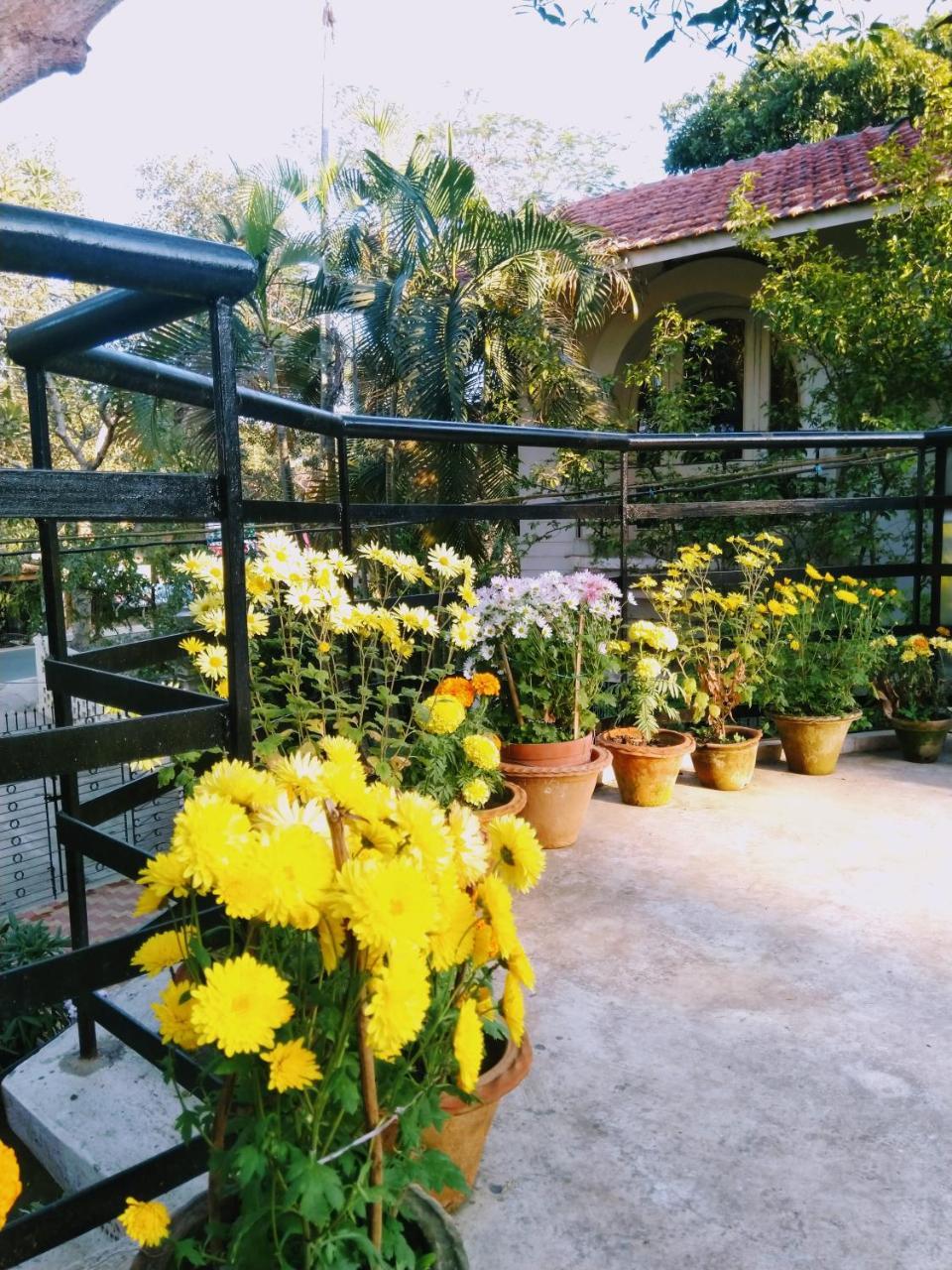 Chaiti Eco Homestay- Santiniketan بولبور المظهر الخارجي الصورة